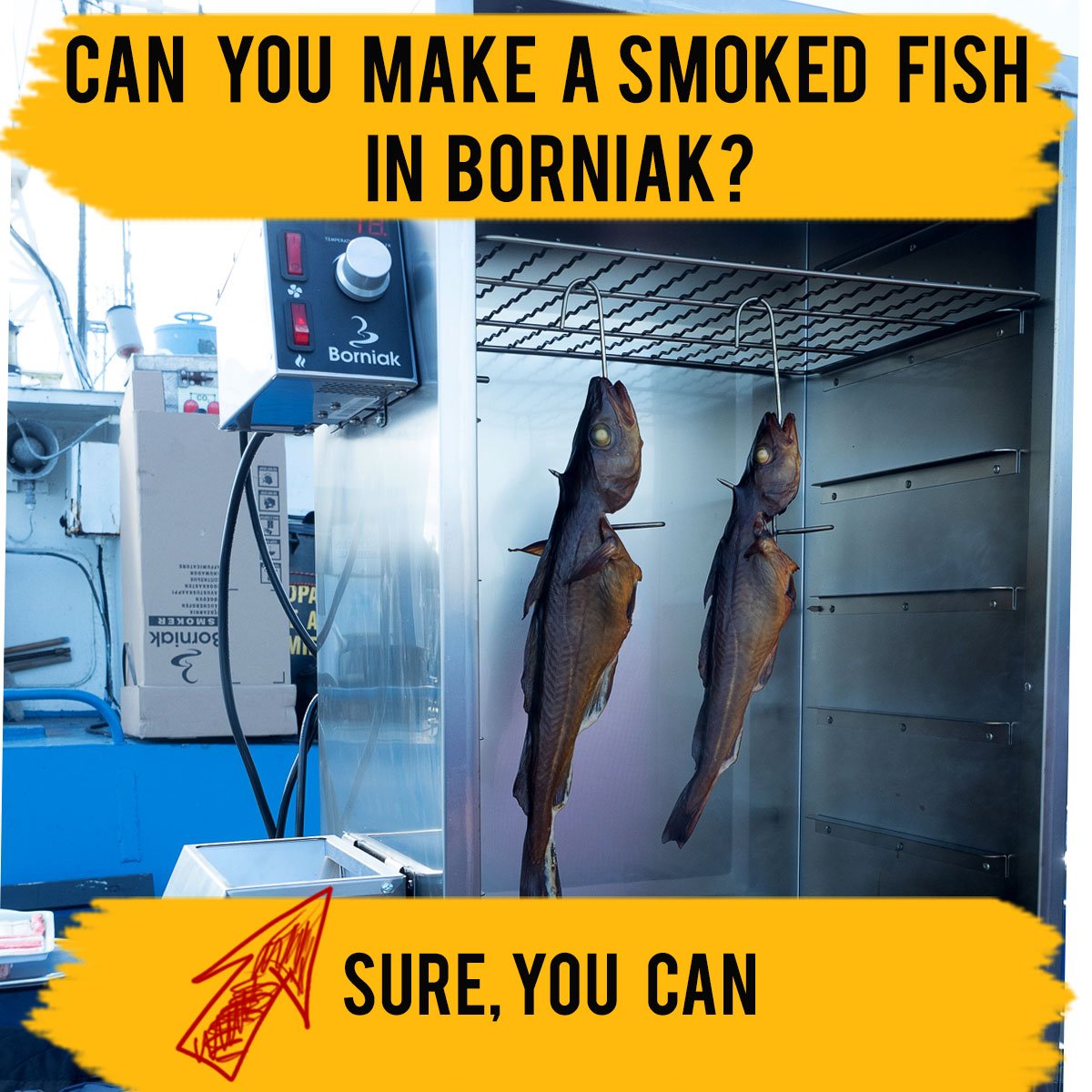 https://smokehouse.guru/wp-content/uploads/2023/02/smoked-fish-borniak.jpg