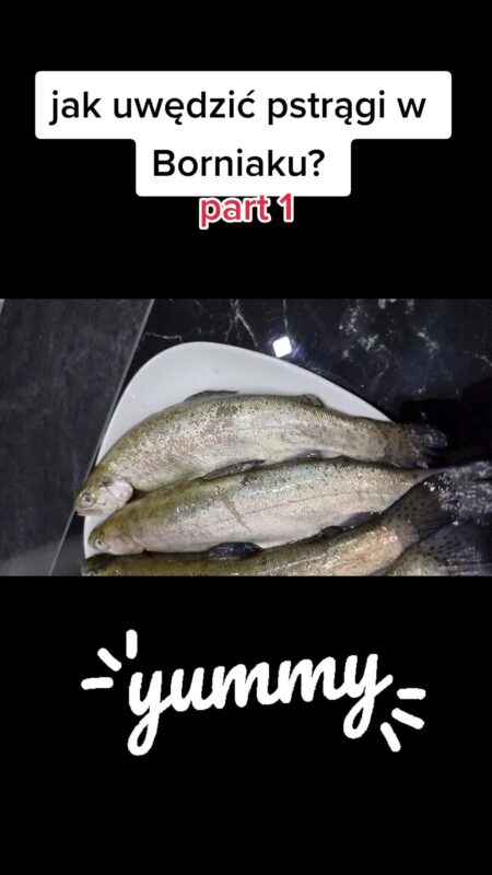 @smokehouseguru jwędzenie ryby w elektrycznej wędzarni Borniak BBDS-70 osuszanie...