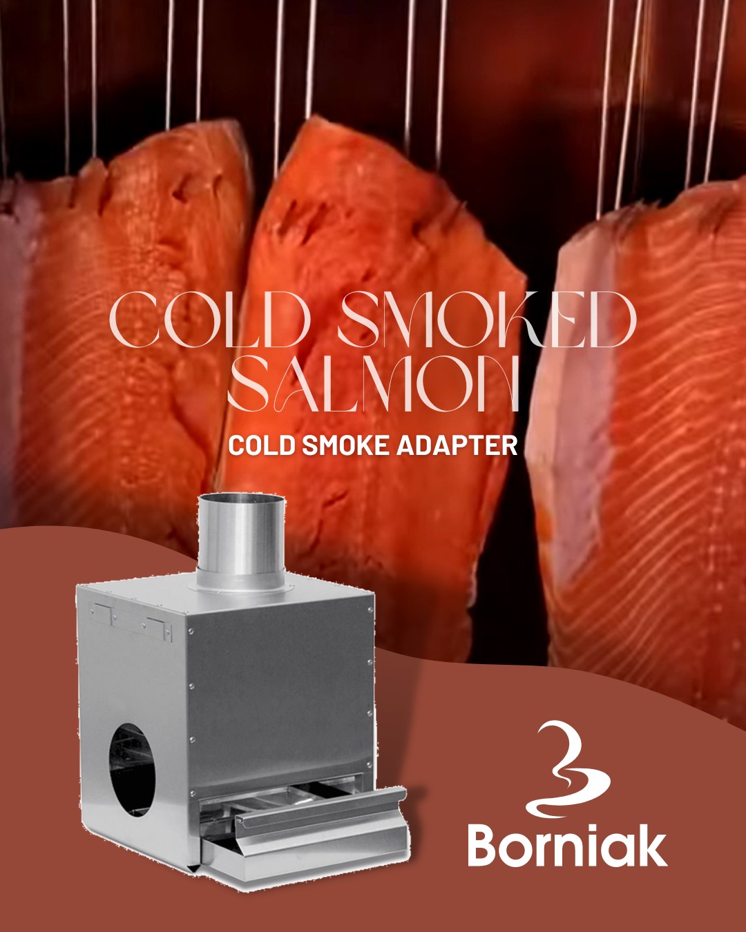 Bornik Cold Smoke Adapter cold smoked fish salmon Preserve meat
