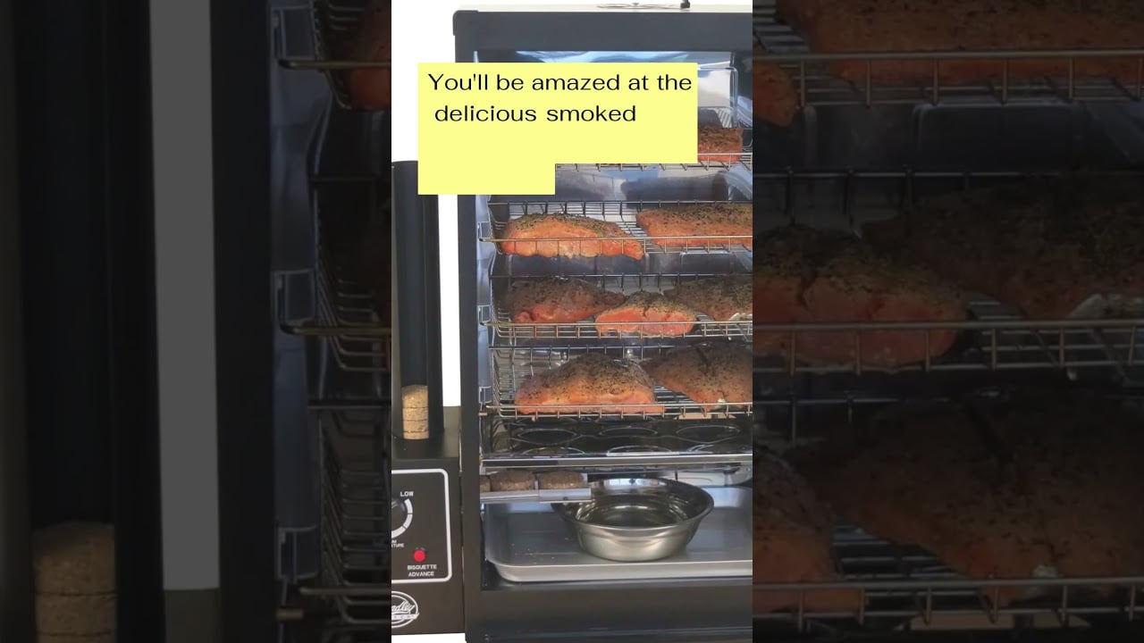 Original Bradley Smoker BS611 4-Rack Natural Draft Vertical Electric Smoker