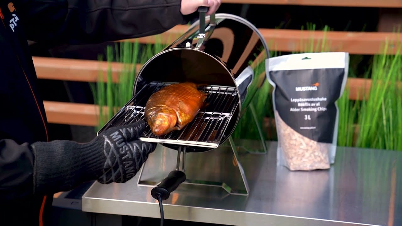 Mustang Electric smoker