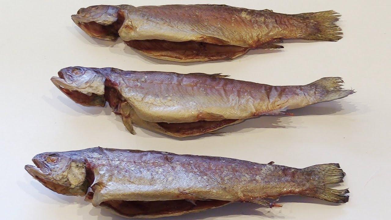 Forellen räuchern im Borniak BBDS 150. Schritt für Schritt mit Rezept.