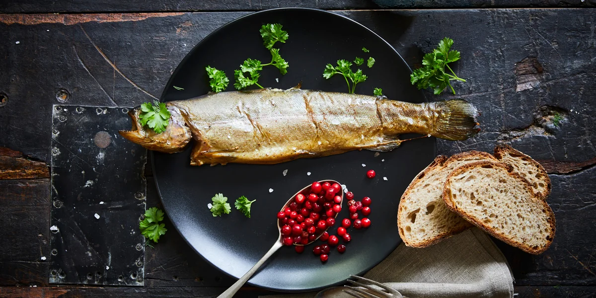 Hot-smoked trout served with bread and garnish